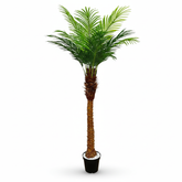 Artificial Curated Phoenix Date Palm Tree - 180cm (6ft)